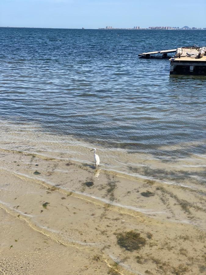 Mar Menor Elisa Apartment ซานติอาโก เดลา รีเวรา ภายนอก รูปภาพ
